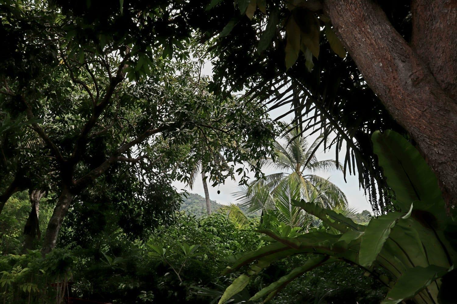 Kebun Rohani Cottages Senggigi Exterior foto